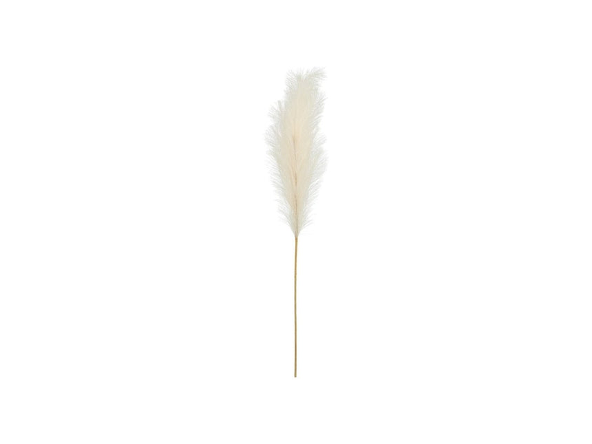 Droogbloemen Pampas 1,1m van Partydeco koop je bij Partywinkel