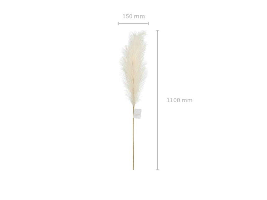 Droogbloemen Pampas 1,1m van Partydeco koop je bij Partywinkel