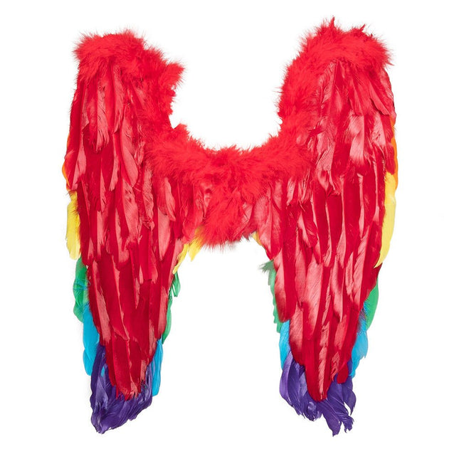 Engelen Vleugels Regenboog 50cm van Boland koop je bij Partywinkel