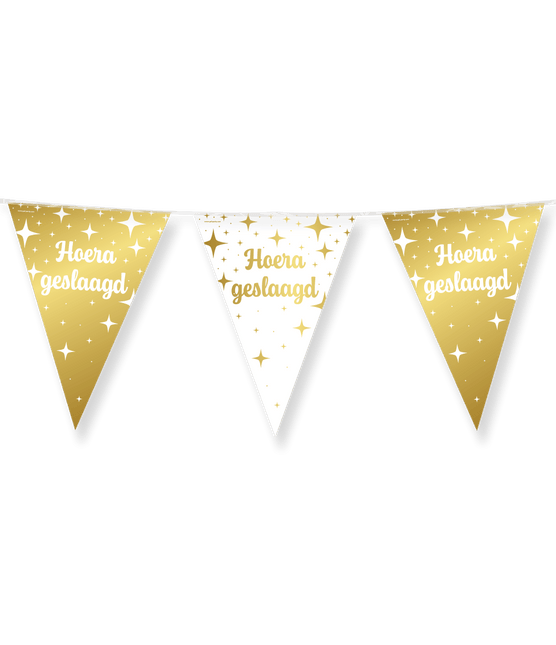 Fancy party Vlaggenlijn folie - Geslaagd van Paper Dreams koop je bij Partywinkel