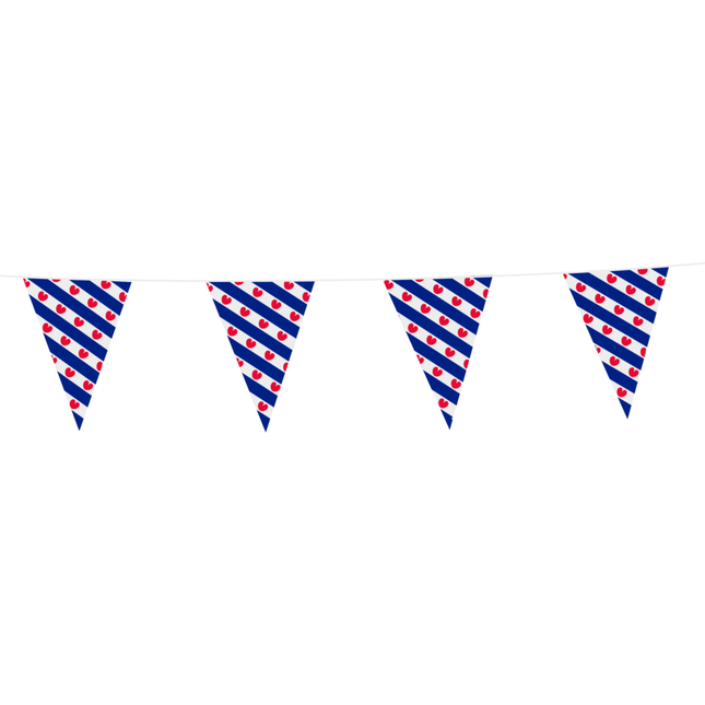 Friesland Slinger 10m van WeFiesta koop je bij Partywinkel
