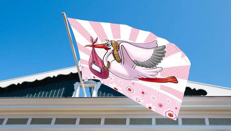 Geboortevlag Meisje 90cm van Folat koop je bij Partywinkel