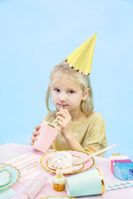 Gekleurde Feesthoedjes Pastel 16cm 6st van Partydeco koop je bij Partywinkel