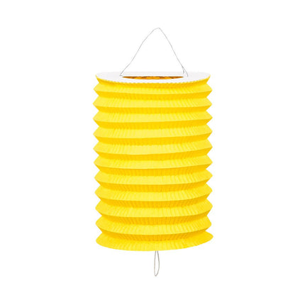 Gekleurde Lampionnen 13cm 12st van Boland koop je bij Partywinkel