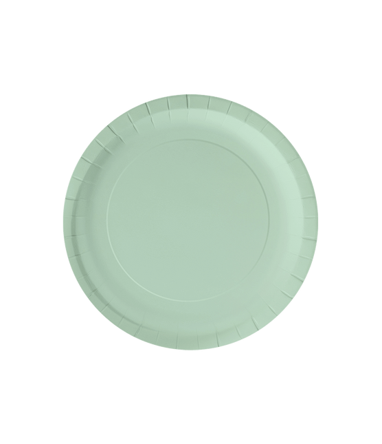 Groene Borden Pastel 23cm 8st van Paper Dreams koop je bij Partywinkel