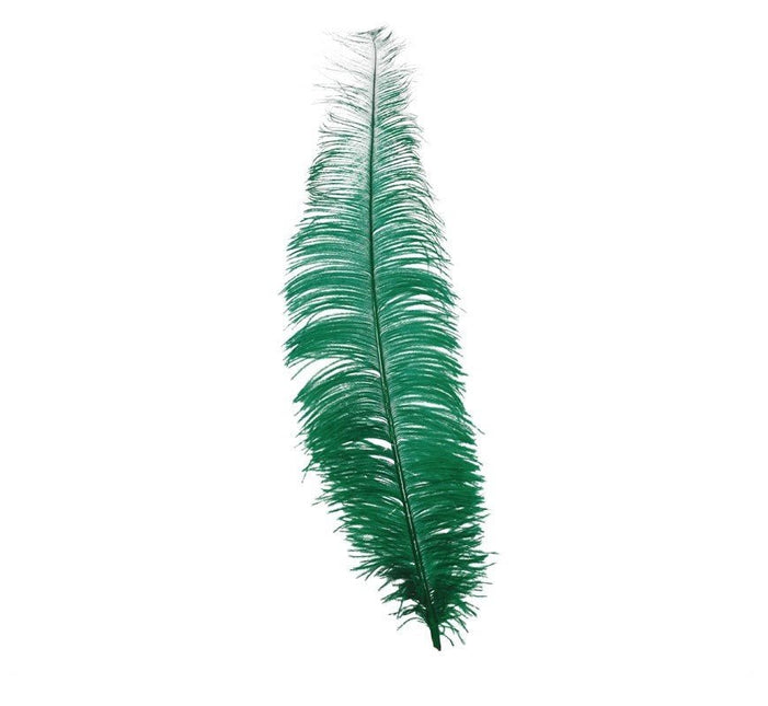 Groene Struisvogelveren 40cm 12st van Fiestas Guirca koop je bij Partywinkel
