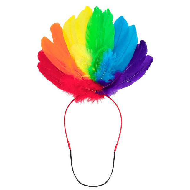 Haarband Regenboog Veren van Boland koop je bij Partywinkel
