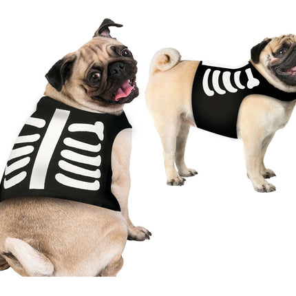 Halloween Dieren Kostuum Skelet Mascotte van Fiestas Guirca koop je bij Partywinkel