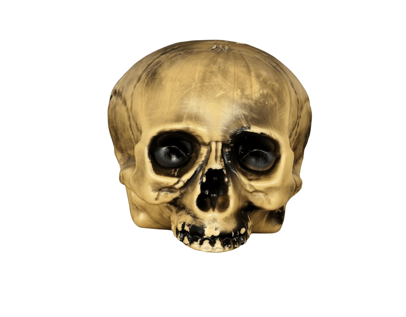 Halloween Half Schedel 20cm van Fiestas Guirca koop je bij Partywinkel