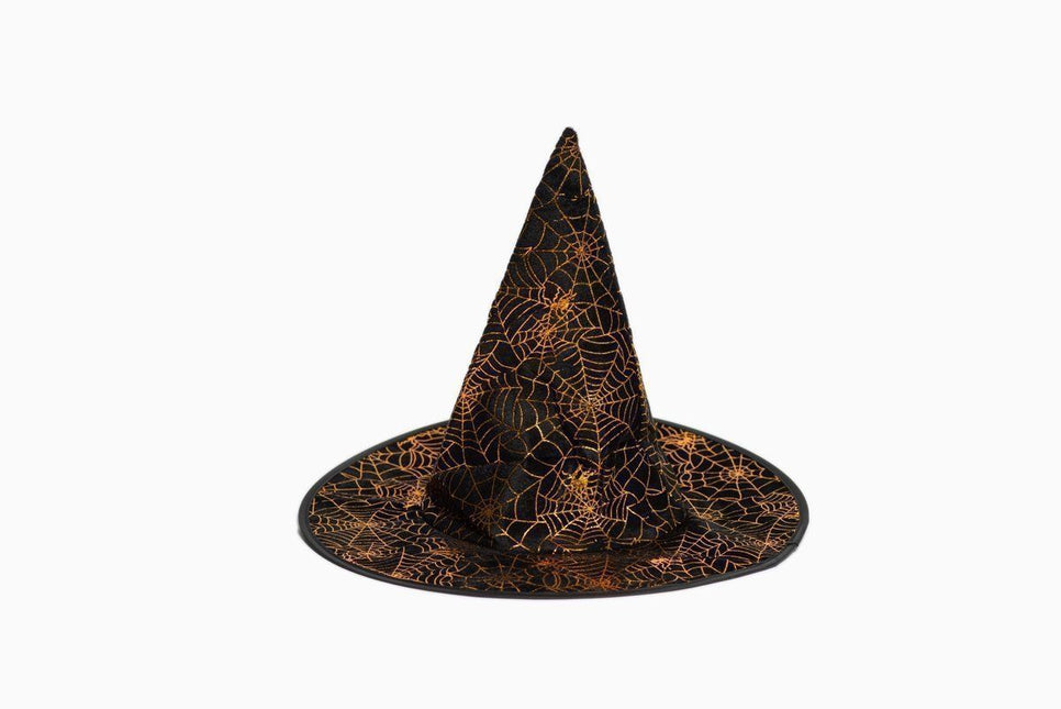 Halloween Heksenhoed Zwart Spinnenweb van Partychimp koop je bij Partywinkel