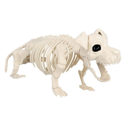 Halloween Hondenskelet 52cm van Boland koop je bij Partywinkel