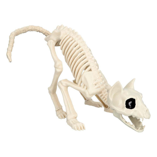 Halloween Kattenskelet 51cm van Boland koop je bij Partywinkel