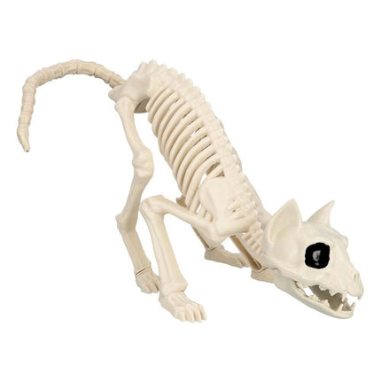 Halloween Kattenskelet 51cm van Boland koop je bij Partywinkel