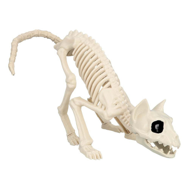 Halloween Kattenskelet 51cm van Boland koop je bij Partywinkel