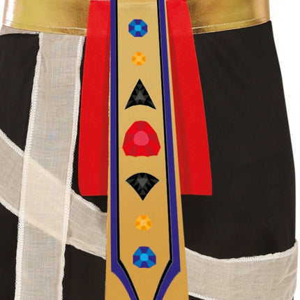 Halloween Kostuum Heren Mummie van Fiestas Guirca koop je bij Partywinkel