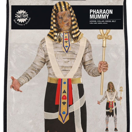 Halloween Kostuum Heren Mummie van Fiestas Guirca koop je bij Partywinkel
