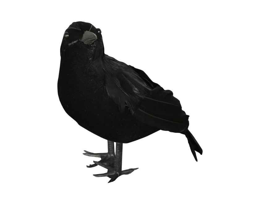 Halloween Kraai 25cm van Fiestas Guirca koop je bij Partywinkel
