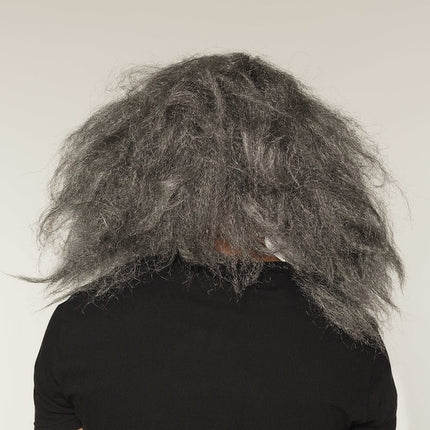 Halloween Masker Clown Grijs Haar van Boland koop je bij Partywinkel