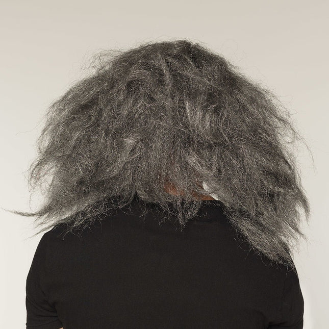 Halloween Masker Clown Grijs Haar van Boland koop je bij Partywinkel