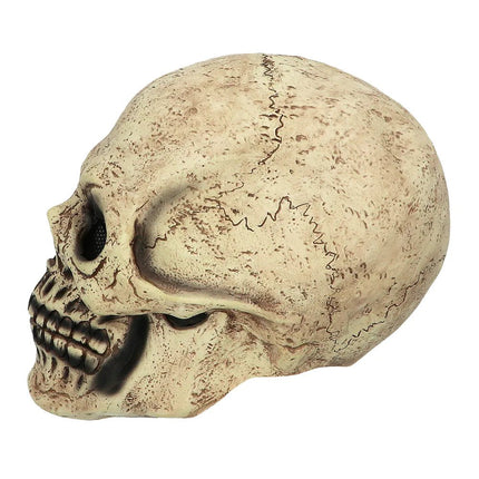 Halloween Masker Nude Schedel van Boland koop je bij Partywinkel