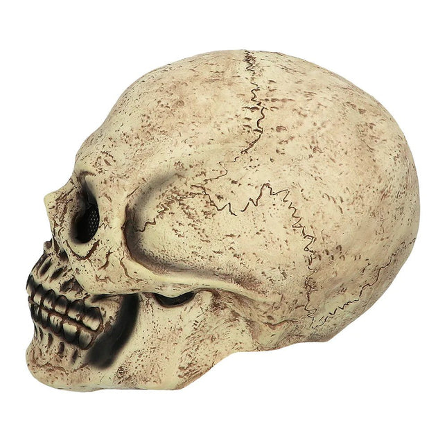 Halloween Masker Nude Schedel van Boland koop je bij Partywinkel