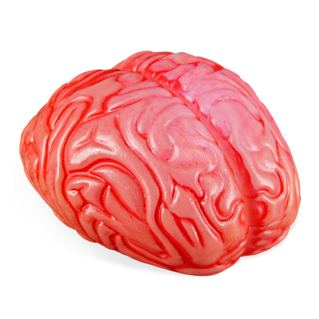 Halloween Nep Hersenen 12cm van Widmann koop je bij Partywinkel