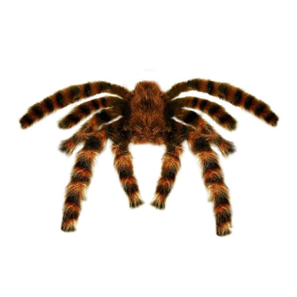 Halloween Nep Spin 65cm van Widmann koop je bij Partywinkel