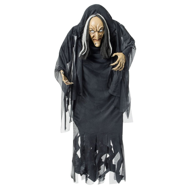 Halloween Pop Heks Met Bochel 1,4m van Widmann koop je bij Partywinkel