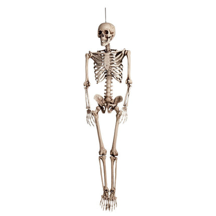 Halloween Pop Skelet 160cm van Boland koop je bij Partywinkel