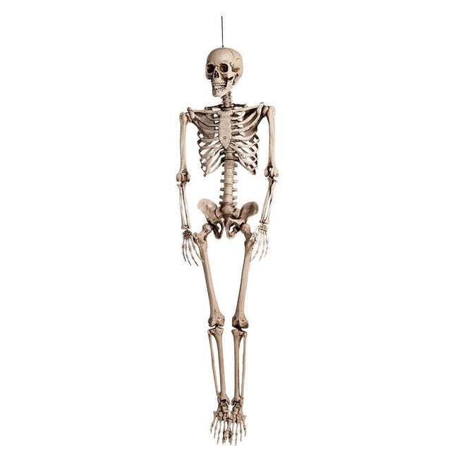 Halloween Pop Skelet 160cm van Boland koop je bij Partywinkel