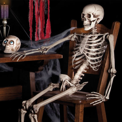 Halloween Pop Skelet 160cm van Boland koop je bij Partywinkel