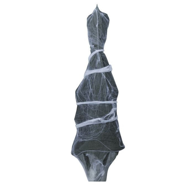 Halloween Pop Skelet In Spinnenweb van Fiestas Guirca koop je bij Partywinkel