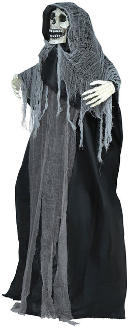 Halloween Pop Skelet Met Licht, Geluid En Beweging 1,7m van Fiestas Guirca koop je bij Partywinkel
