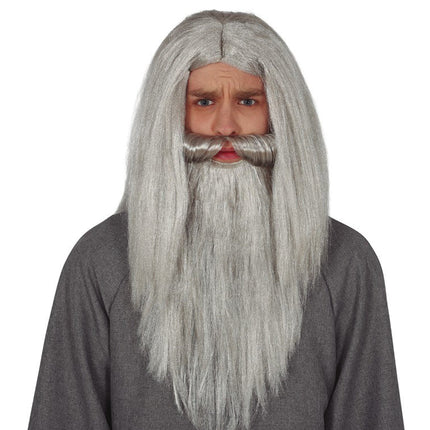 Halloween Pruik Lang Haar Heren Grijs van Fiestas Guirca koop je bij Partywinkel