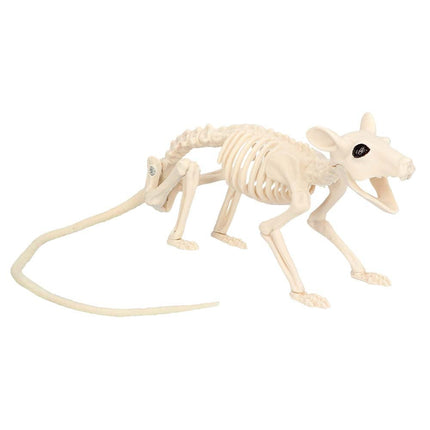 Halloween Ratskelet 46cm van Boland koop je bij Partywinkel