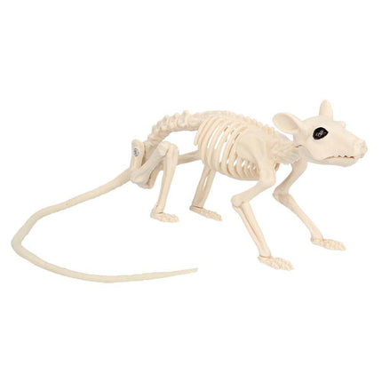 Halloween Ratskelet 46cm van Boland koop je bij Partywinkel