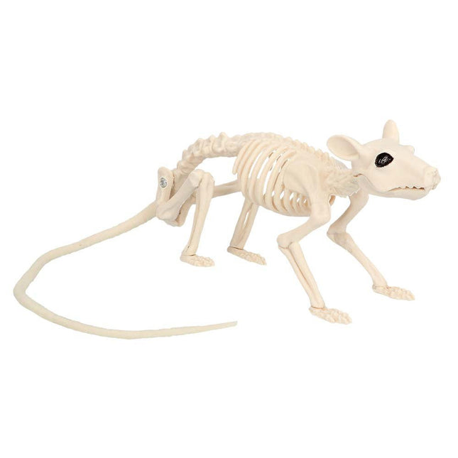Halloween Ratskelet 46cm van Boland koop je bij Partywinkel