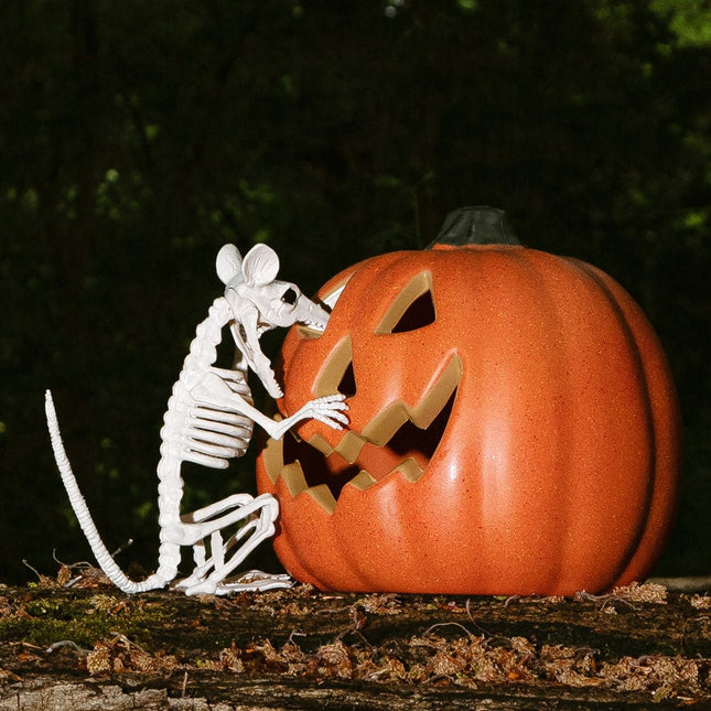 Halloween Rattenskelet 18cm van Boland koop je bij Partywinkel