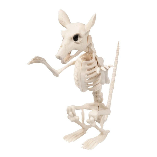 Halloween Rattenskelet 18cm van Boland koop je bij Partywinkel