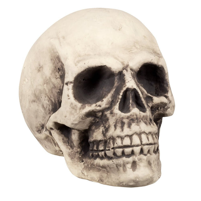 Halloween Schedel 38cm van Boland koop je bij Partywinkel
