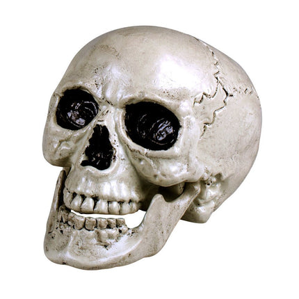 Halloween Schedel Beweegbare Kaak van Boland koop je bij Partywinkel