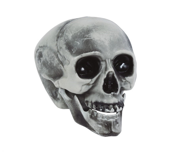 Halloween Schedel Grijs 20cm van Fiestas Guirca koop je bij Partywinkel
