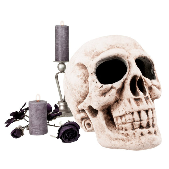 Halloween Schedel Masterbrain 47cm van Boland koop je bij Partywinkel