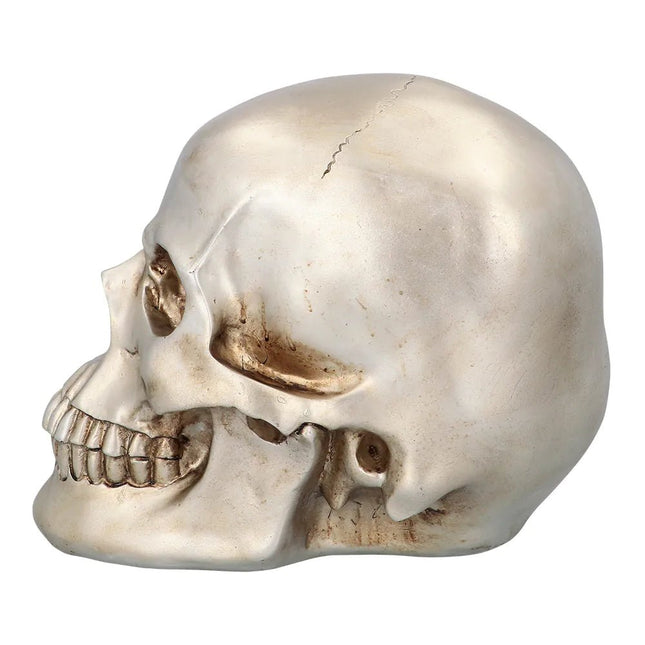 Halloween Schedel Shine 26cm van Boland koop je bij Partywinkel