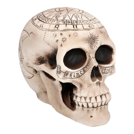 Halloween Schedel Sterrenkunde 20cm van Boland koop je bij Partywinkel