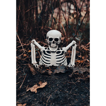 Halloween Skelet 20cm van Boland koop je bij Partywinkel