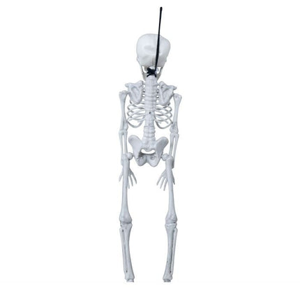 Halloween Skelet 40cm van Fiestas Guirca koop je bij Partywinkel
