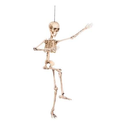 Halloween Skelet 50cm van Boland koop je bij Partywinkel