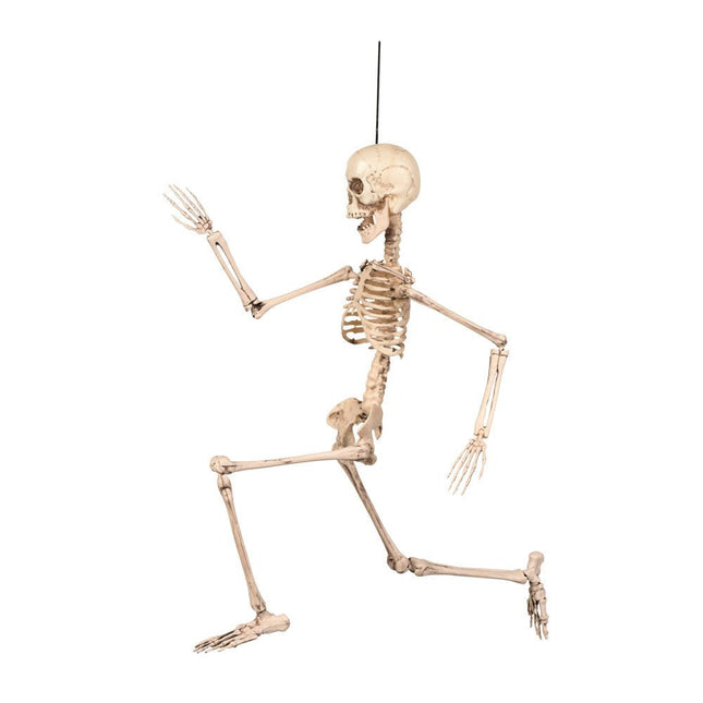 Halloween Skelet 50cm van Boland koop je bij Partywinkel