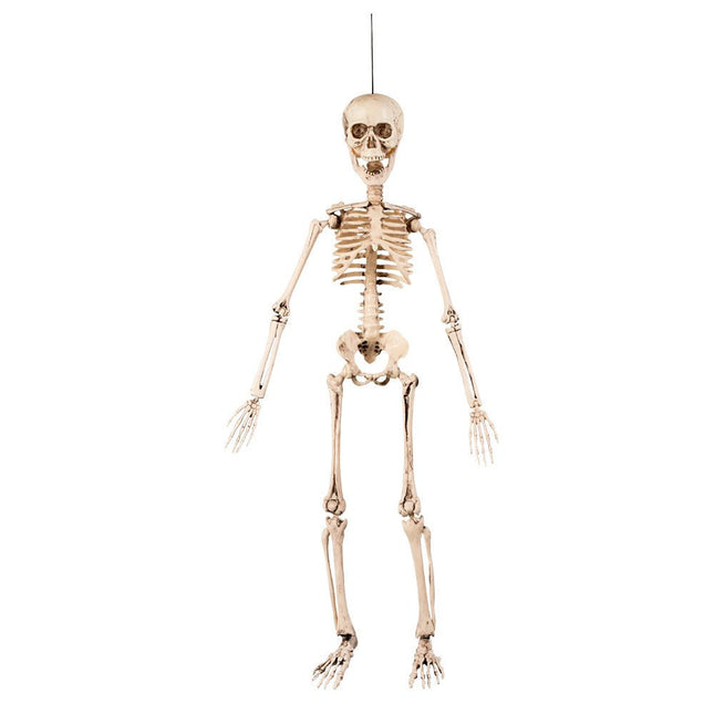 Halloween Skelet 50cm van Boland koop je bij Partywinkel